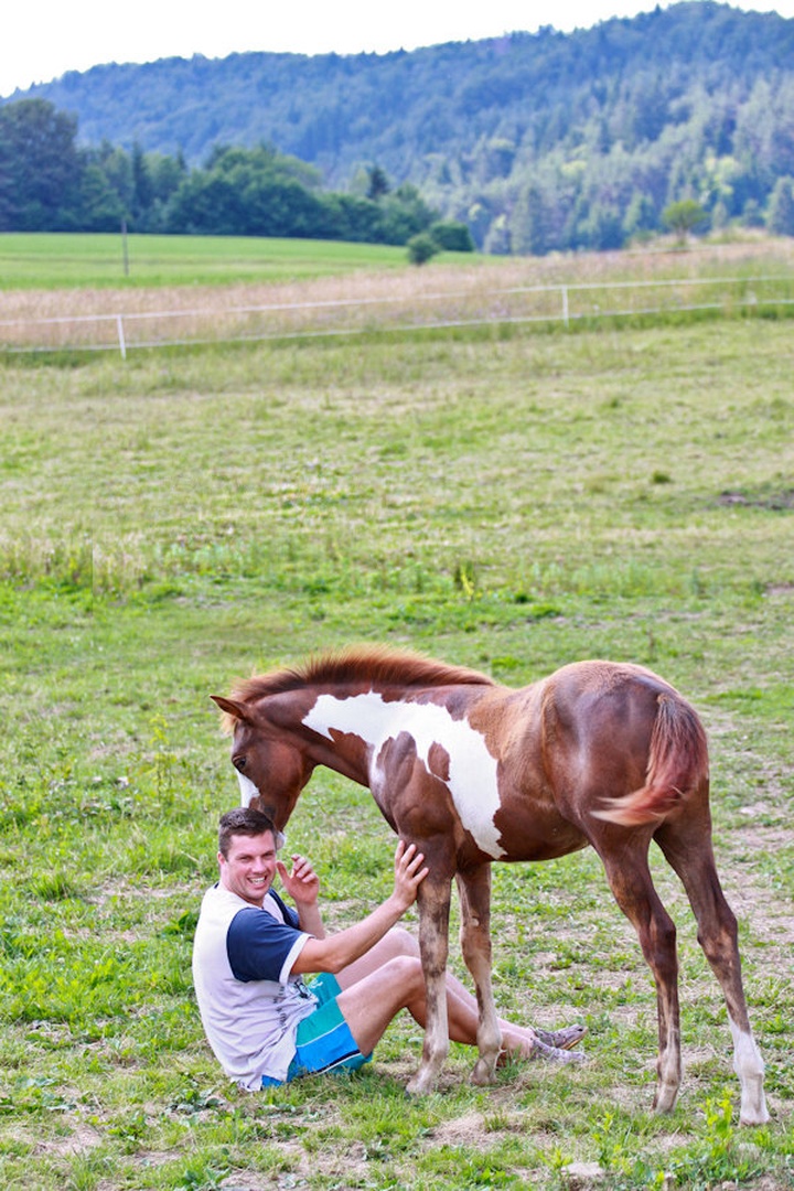 horse whisperer by mateja vesel