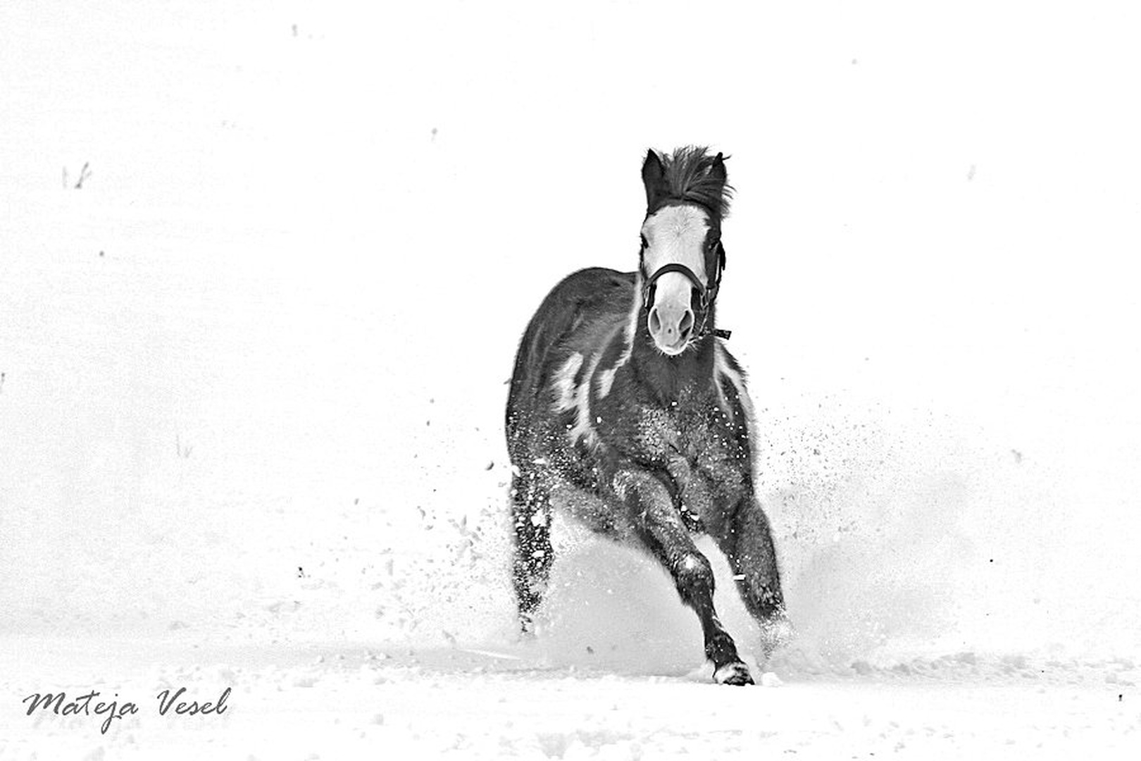 prvi sneg.... by mateja vesel