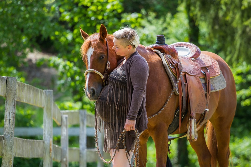 ...a horse touch of new life... by mateja vesel