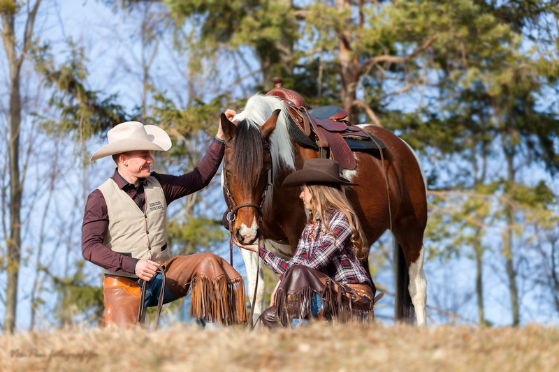 horse whisperer by mateja vesel