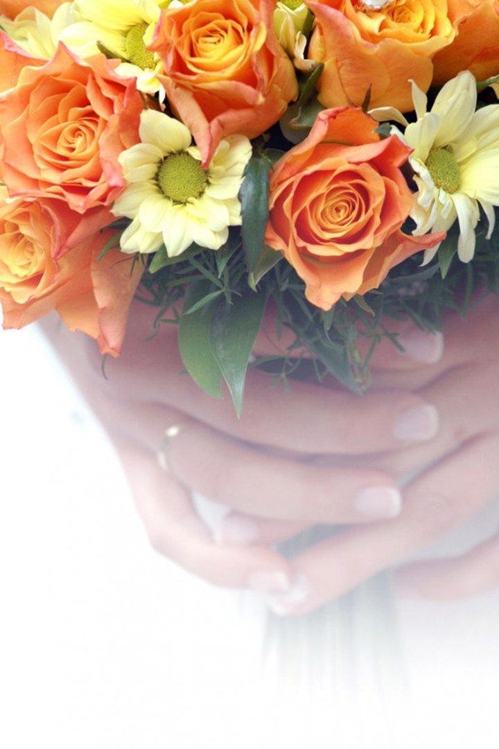 roses of love by mateja vesel