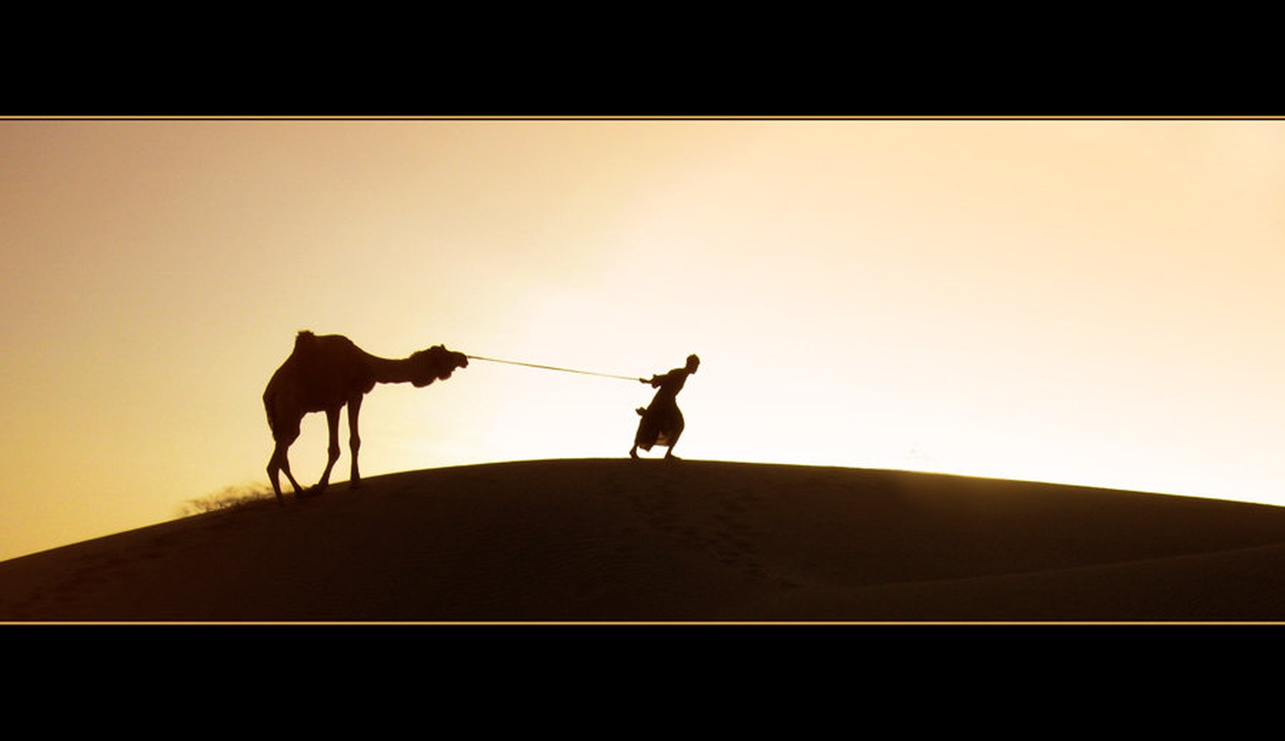 camelman2 by Janez Gercar