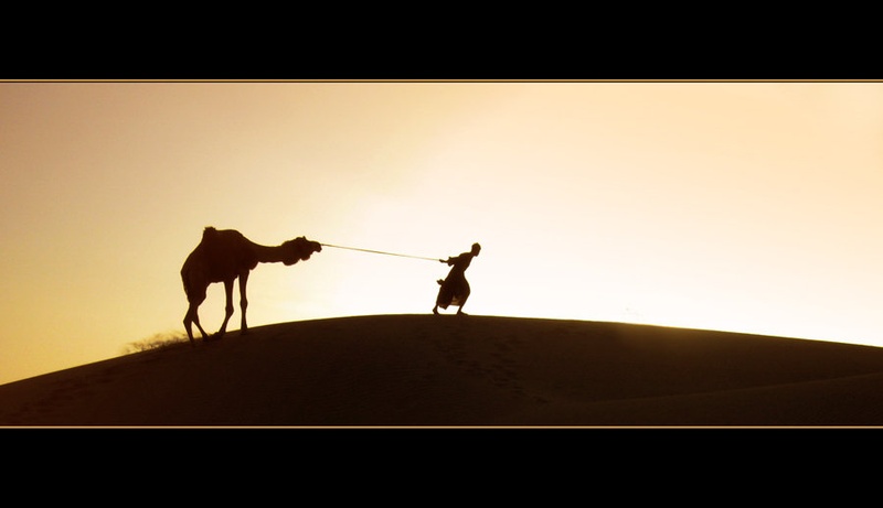 camelman2 by Janez Gercar