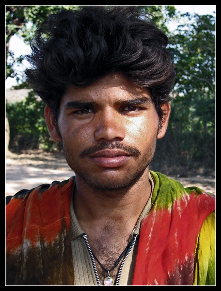 divji by Janez Gercar