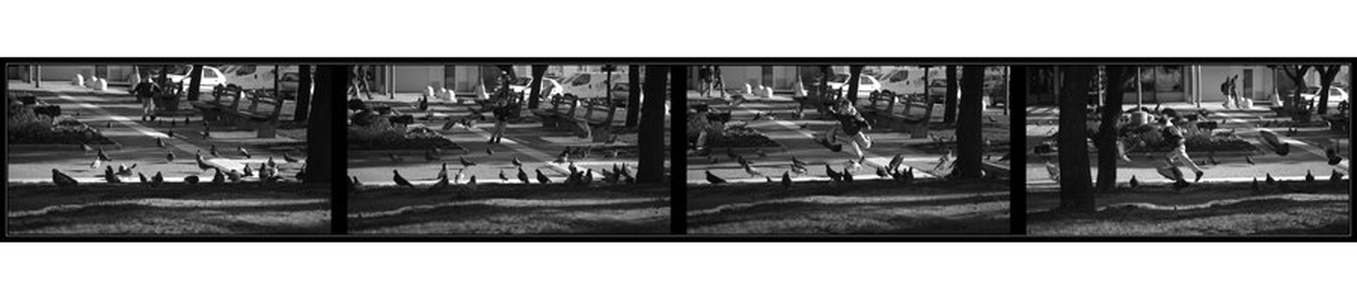 šu šu by Miha Jarm