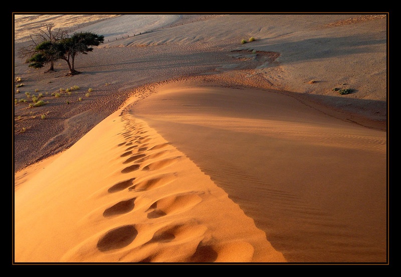 Enjoy the Step by kaja g
