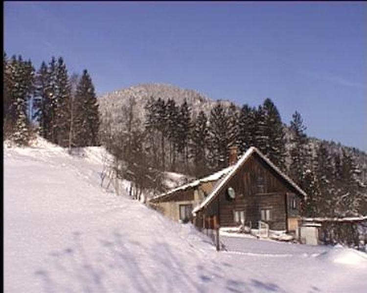 Zima by amater