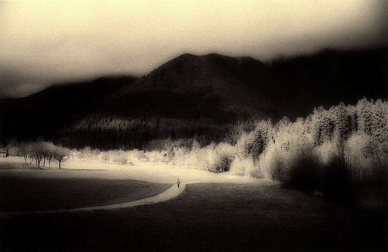 Into the Light by Dax