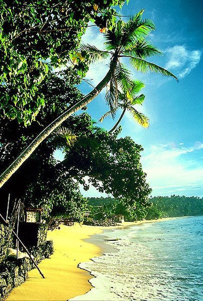 Unawatuna by Dax