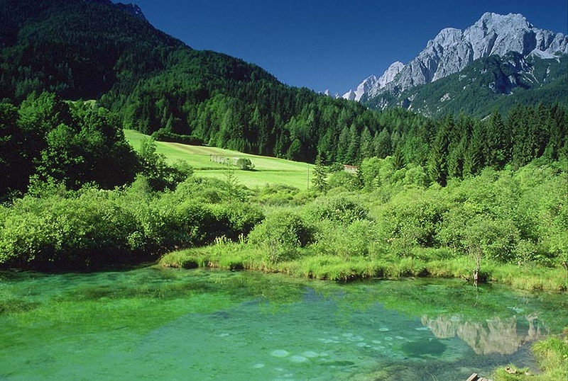 Zelenci by Dax