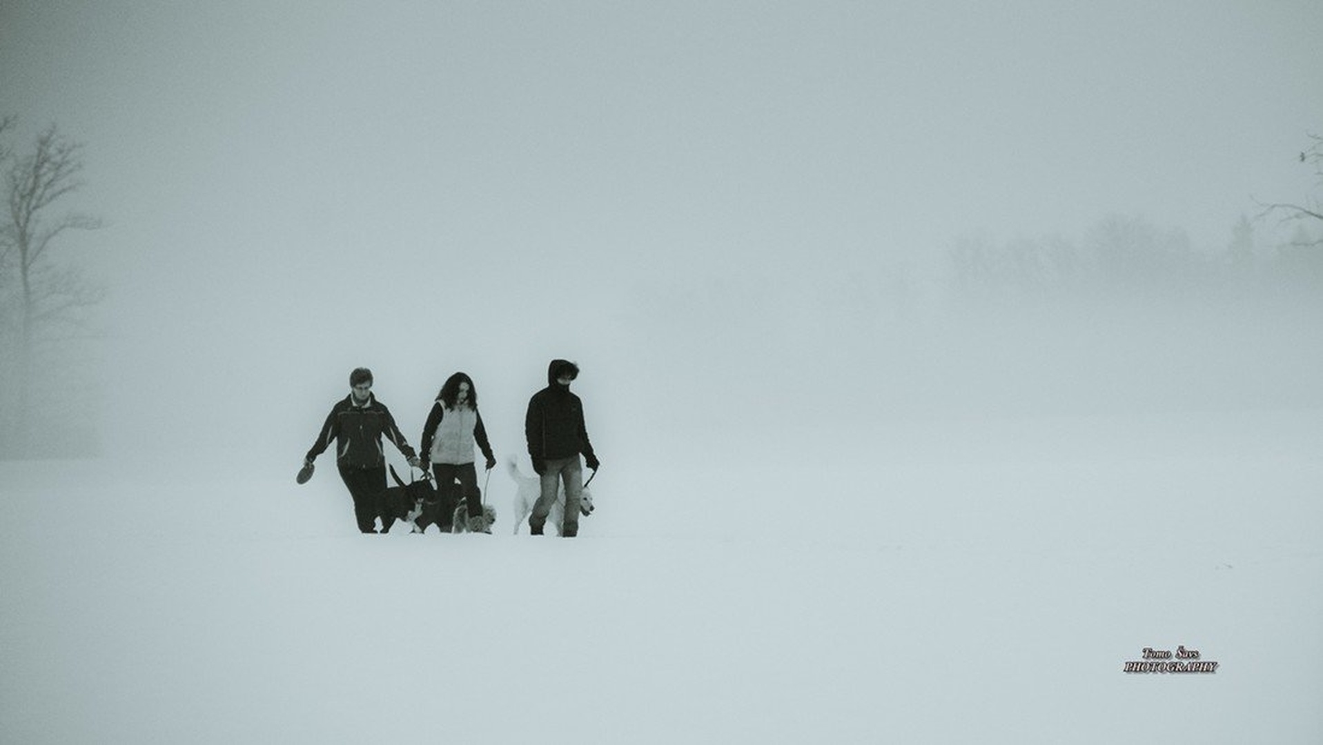 mrzli dnevi... by tomo savs