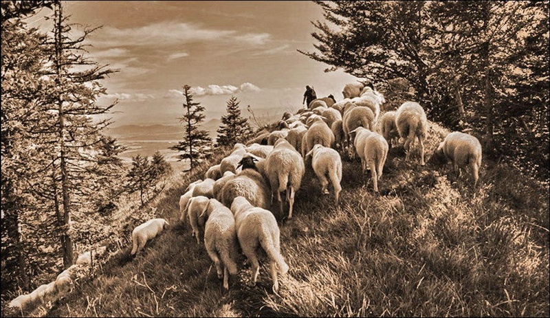 nazaj v dolino.. by tomo savs