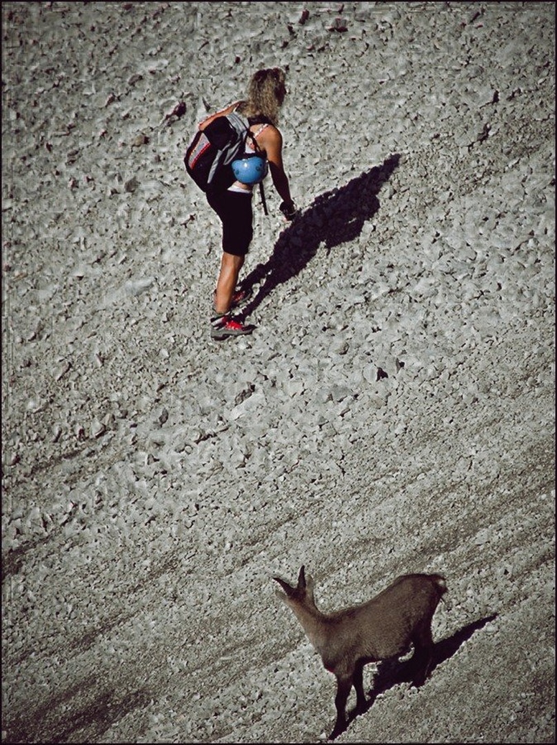 TO JE MOJ TEREN... by tomo savs