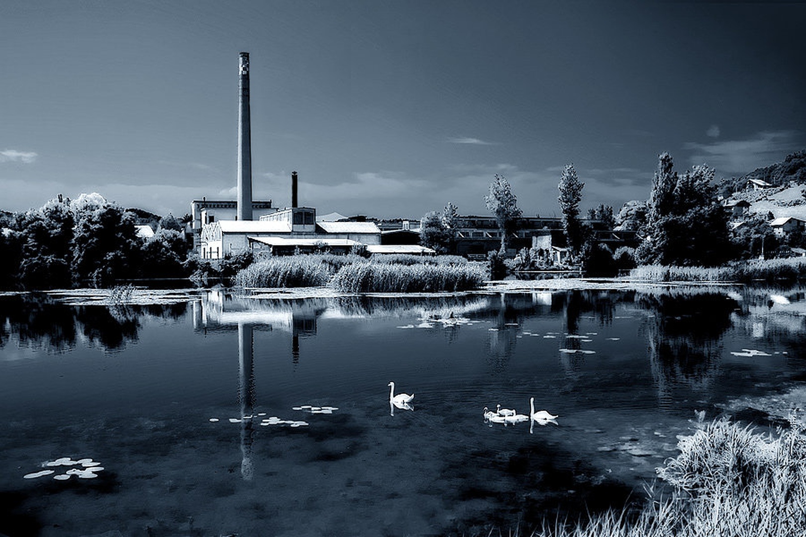 industrial landscape by dariozagar