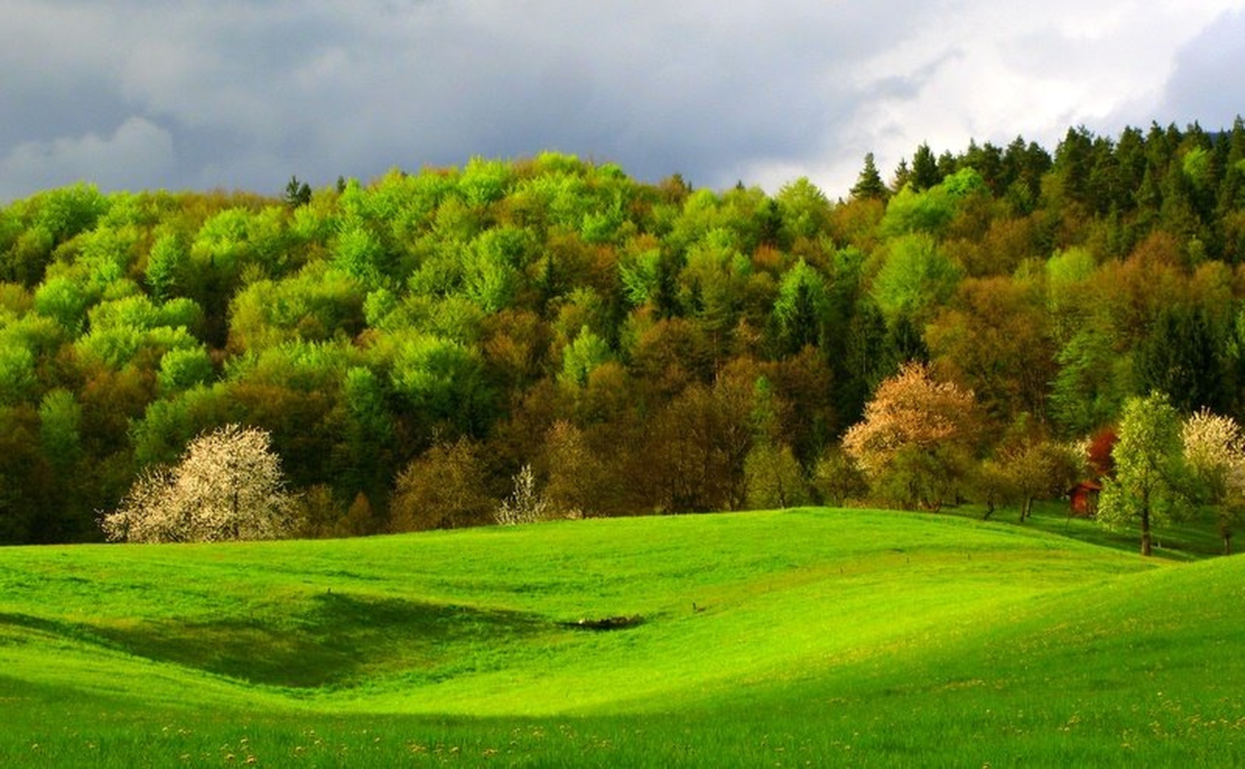 Barve pomladi by