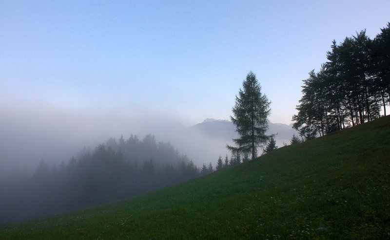 Meglice... by remss