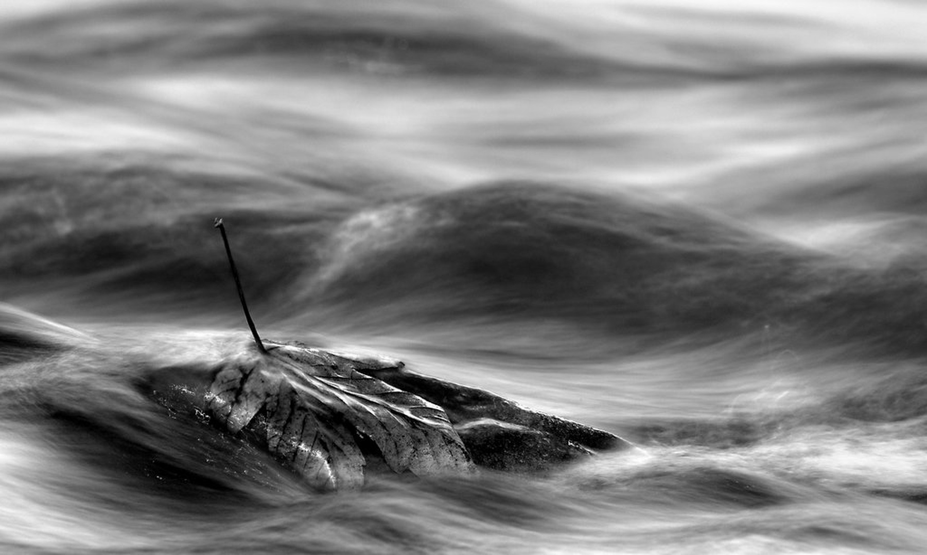 Valovanje by