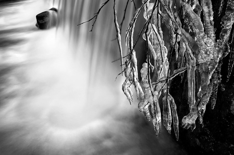 Frozen by remss