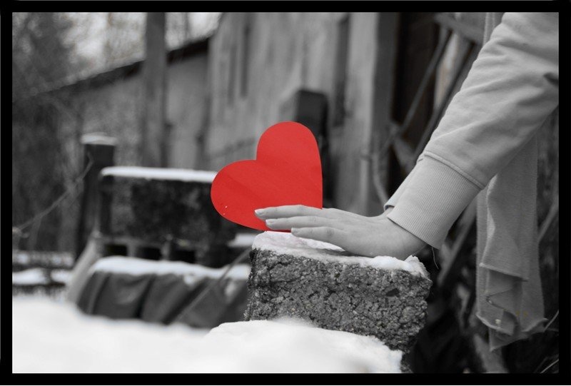 the heart by lea