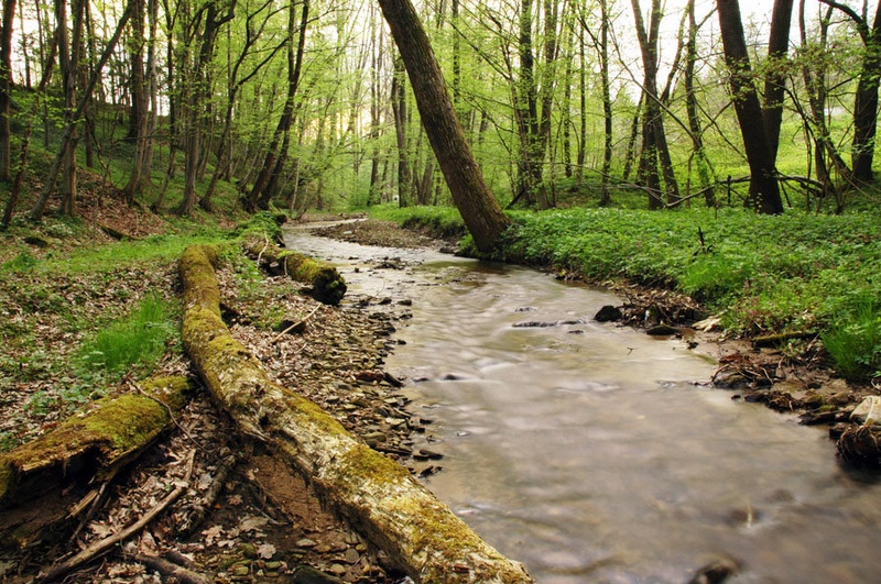 Pomlad in potok Devina by Stanka Vukelić