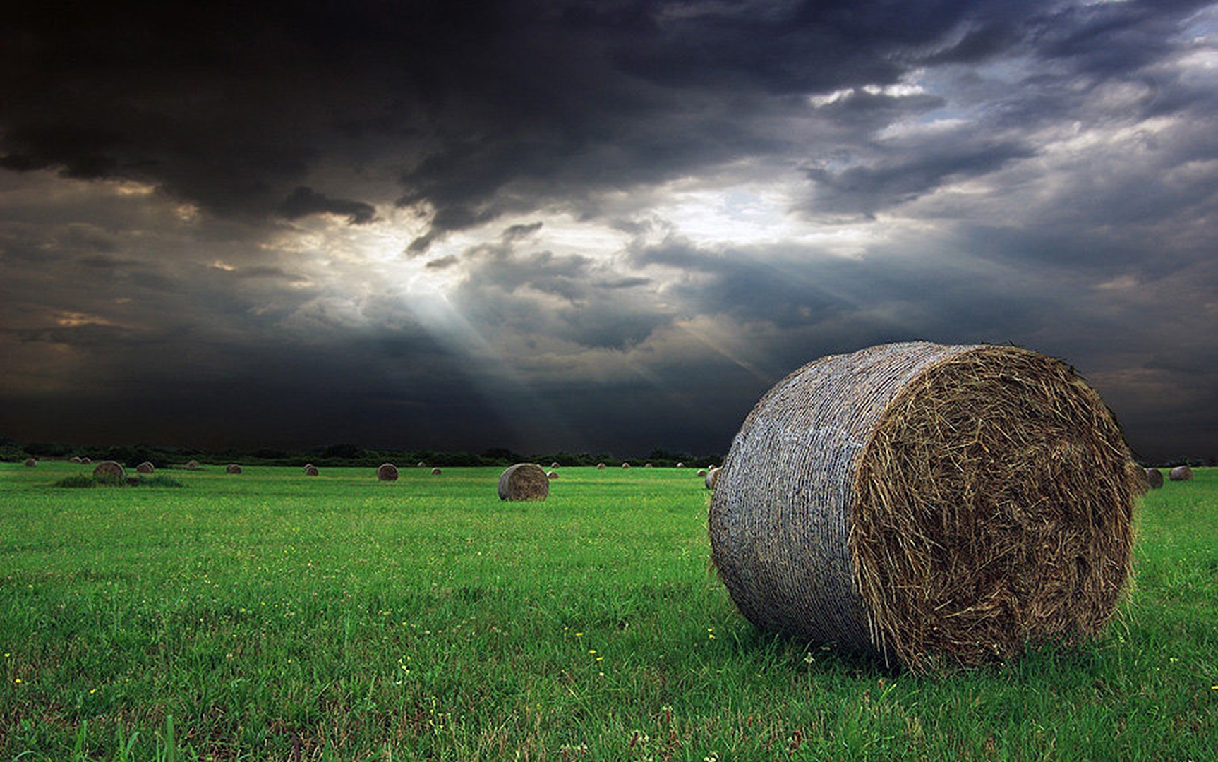 Bale by Rok Ahačič