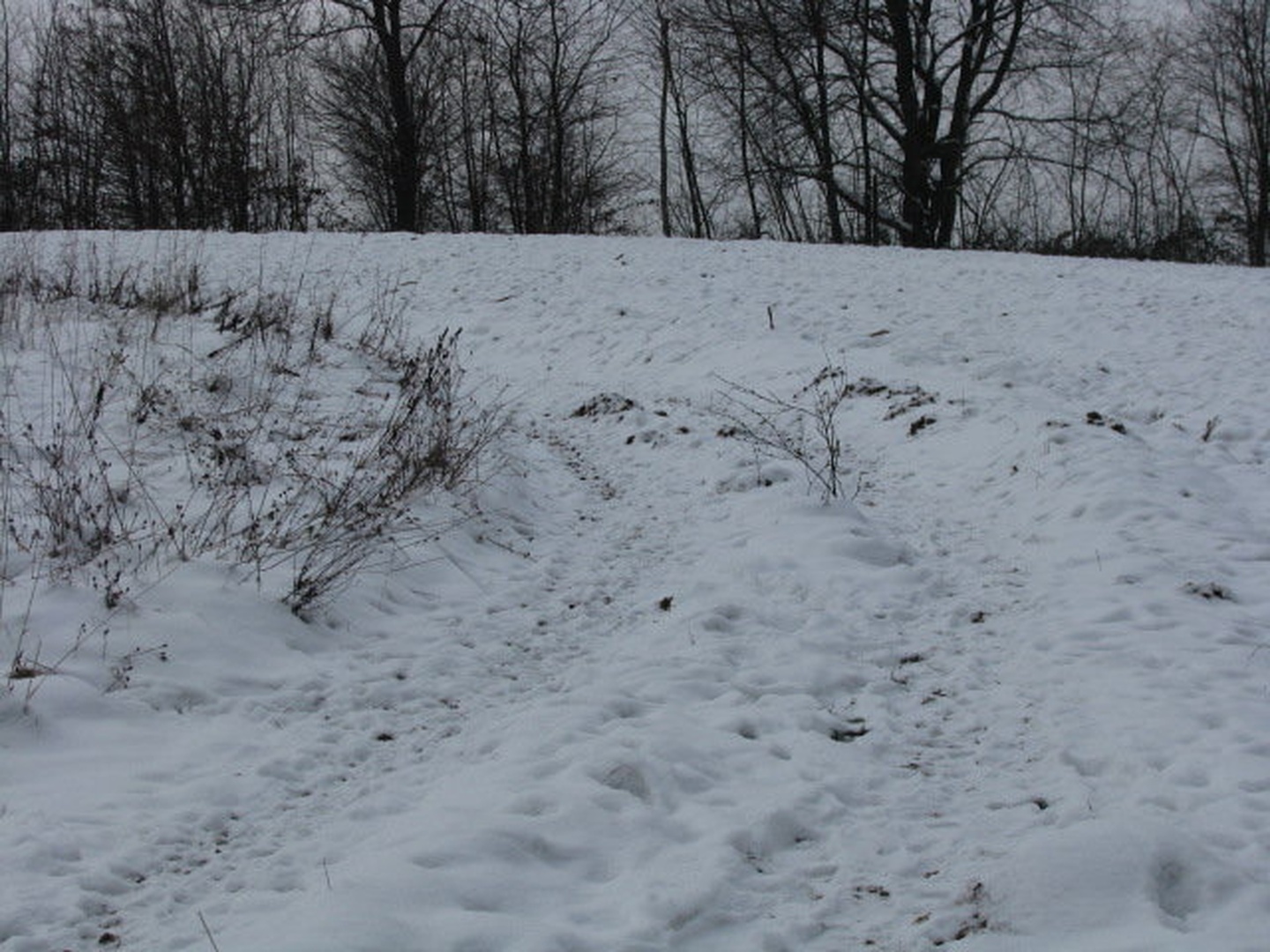 Snežna pot by RuLeZ