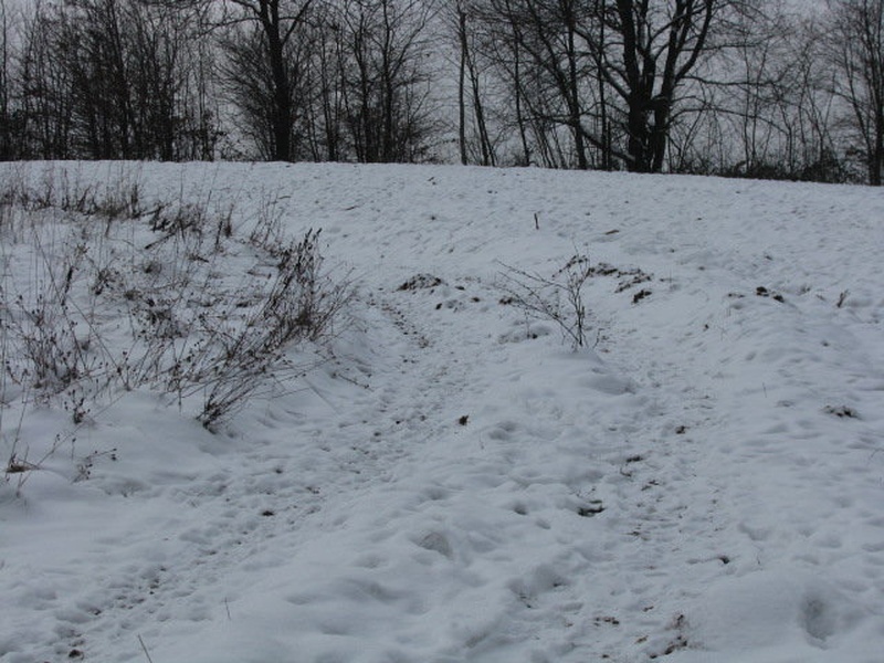 Snežna pot by RuLeZ