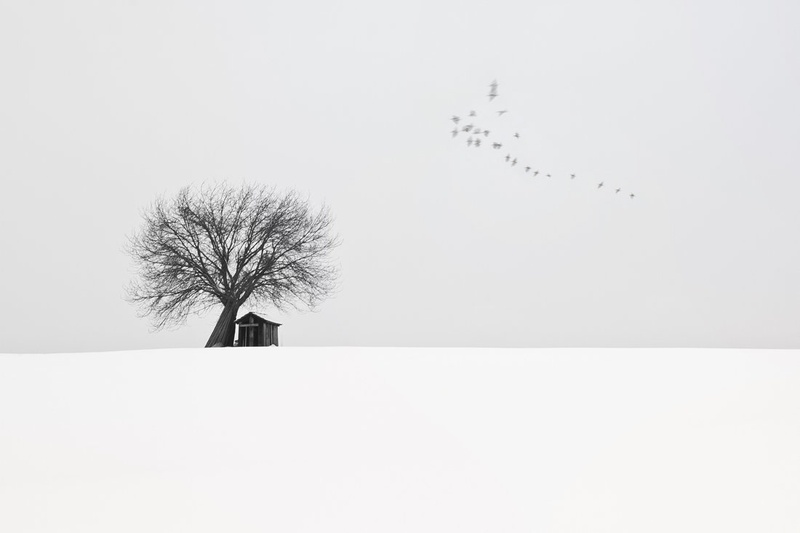 winter mood by Nina