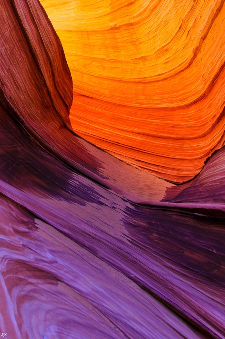 Lines and colors by Los