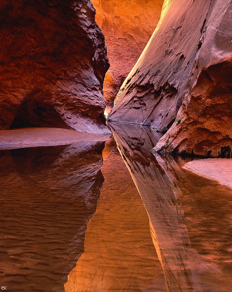 The reflection by Los
