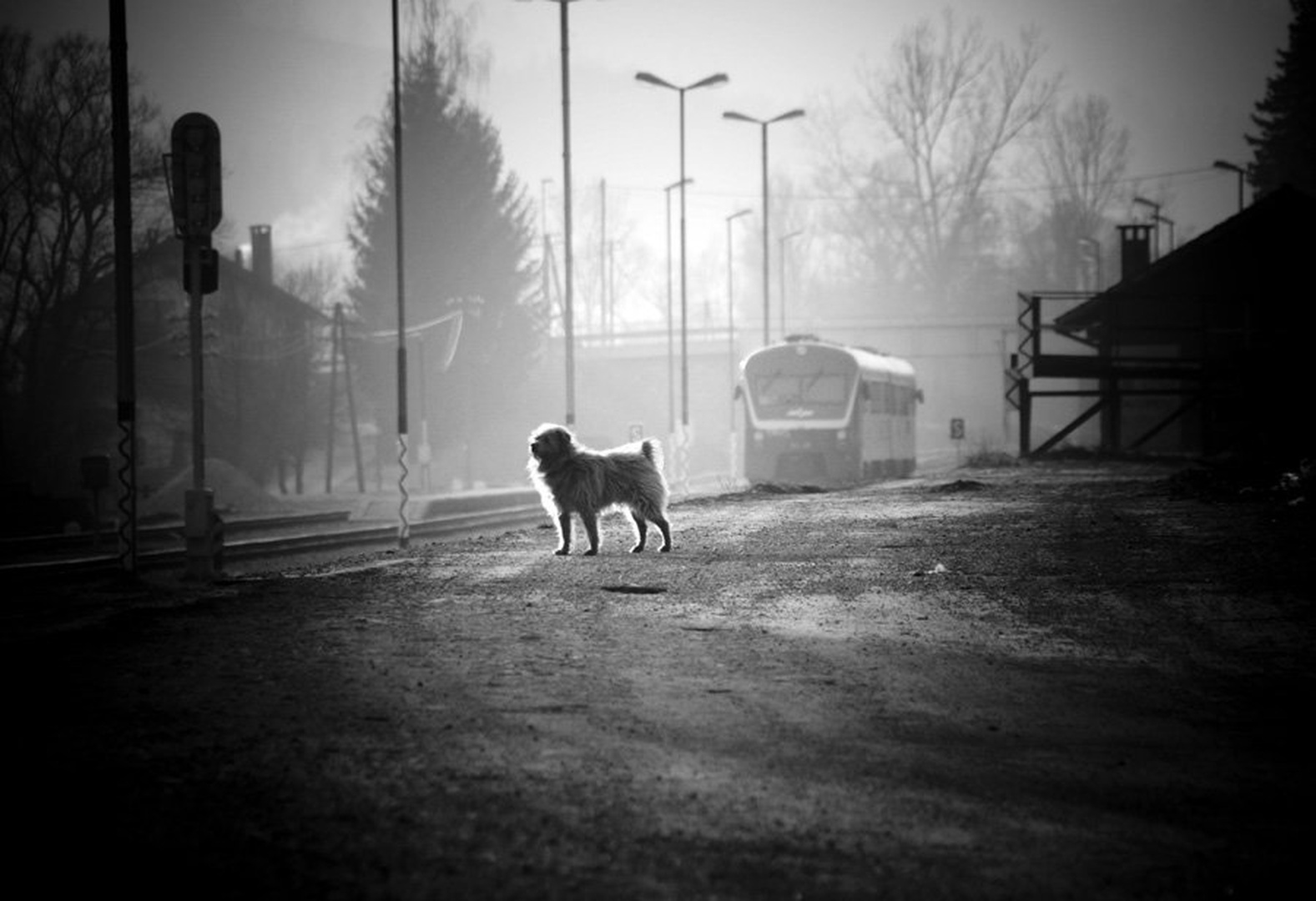 I am waiting for you... by Jernej Kavšek