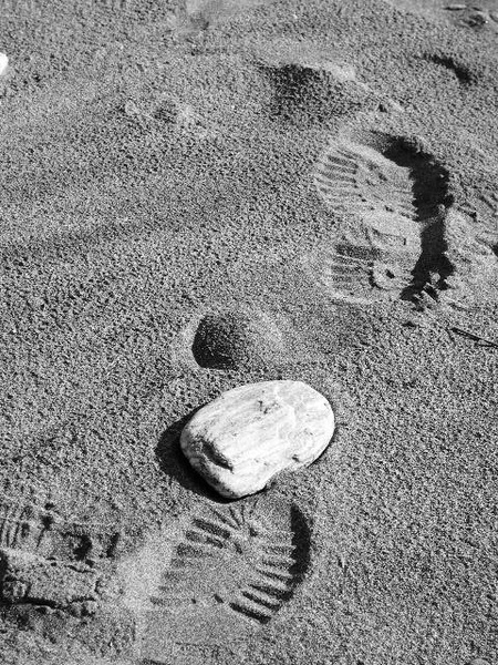 follow me by mojca