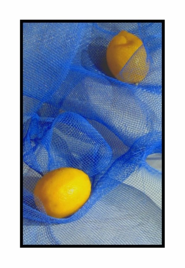 limone #1 by Gregor Prodan