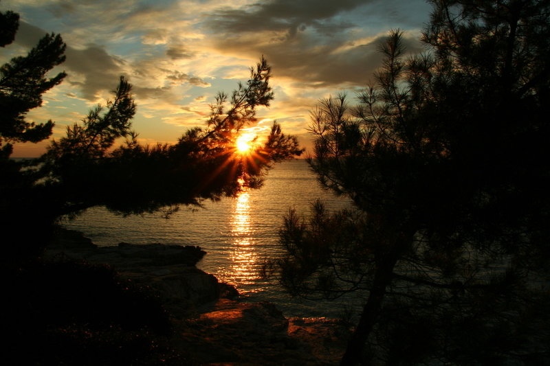 Ujeto sonce by Darja Stravs Tisu