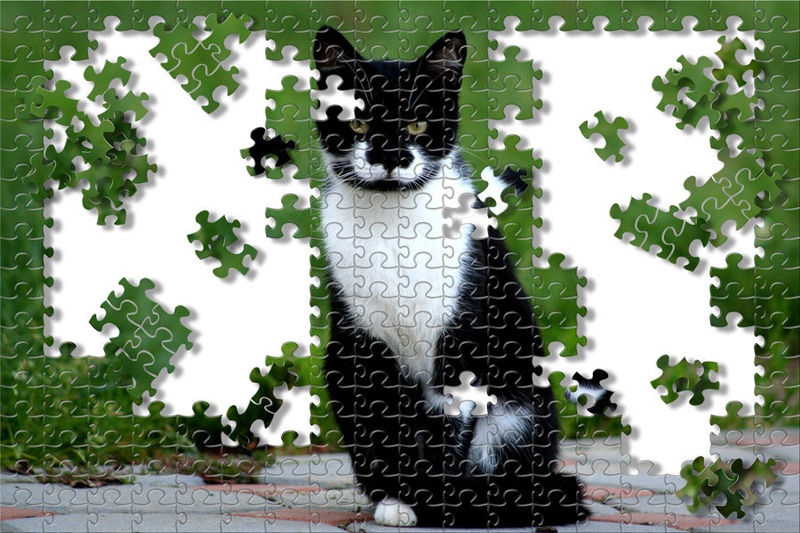 puzzle mačka by aleš štumpf