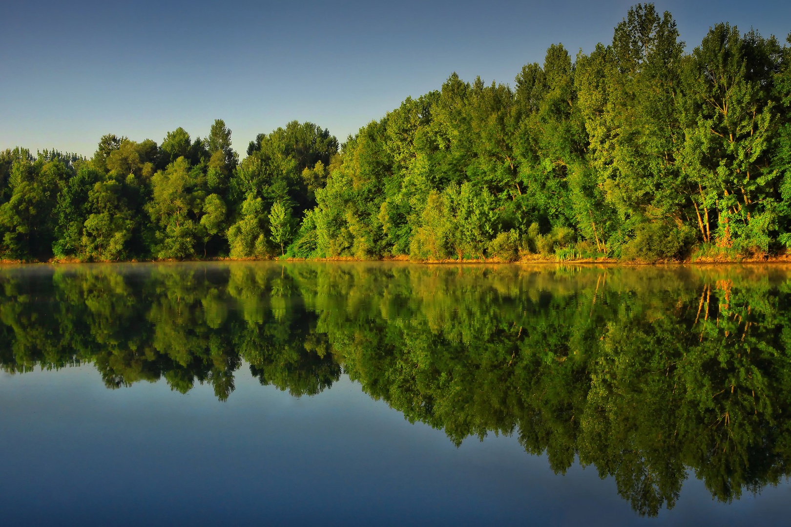 Refleksija. by Joc1