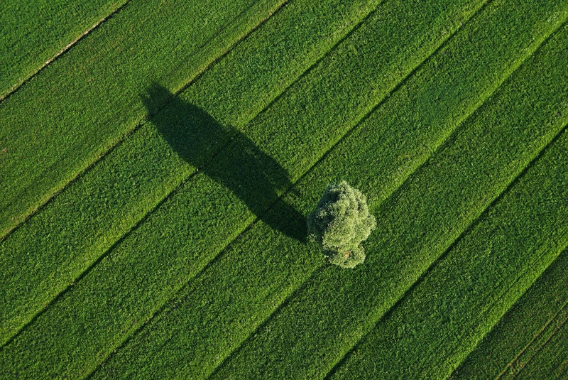 Samotar. by Joc1