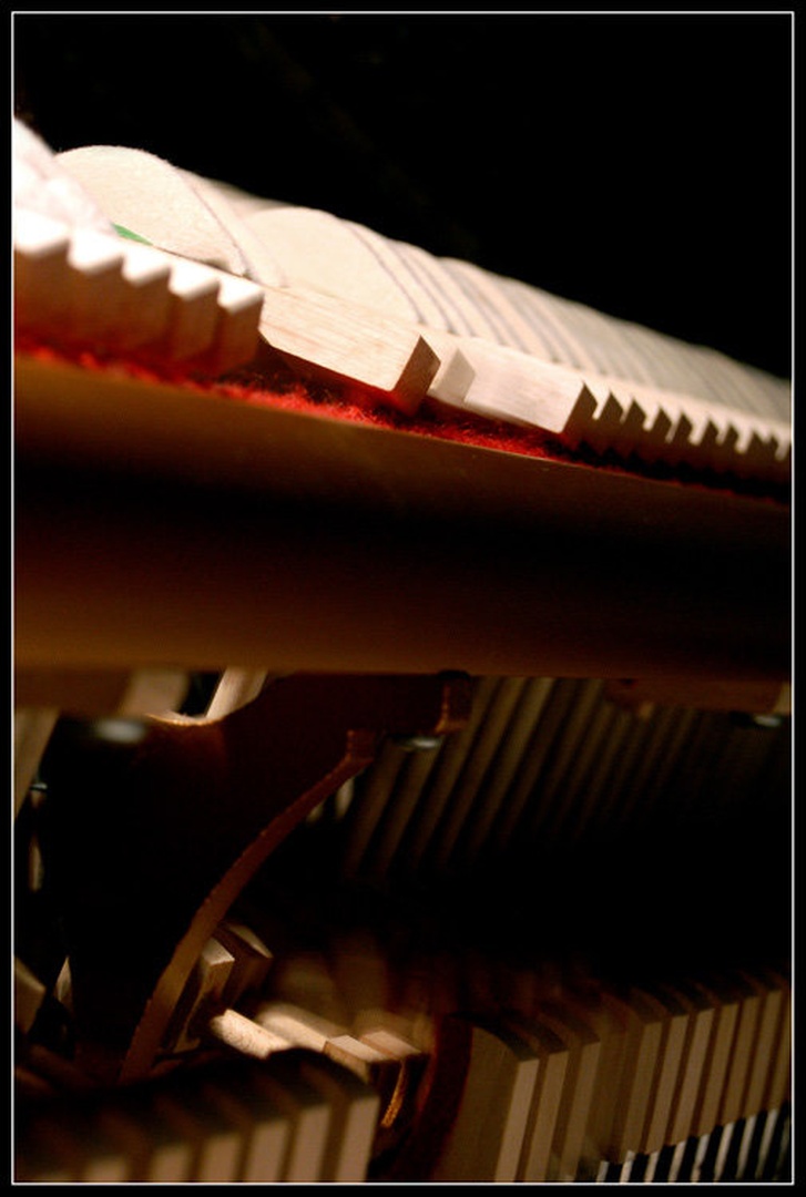Kal by Žiga Četrtič