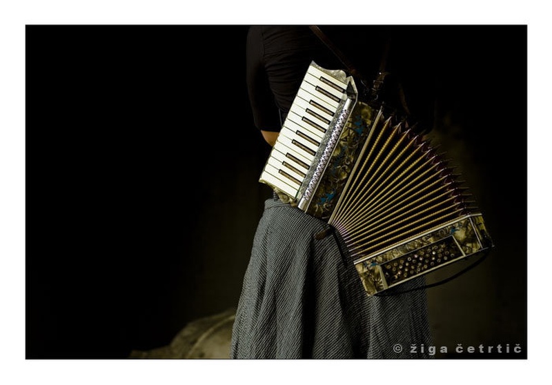 Harmonija by Žiga Četrtič