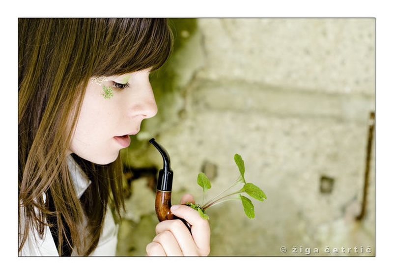 Green smoking by Žiga Četrtič