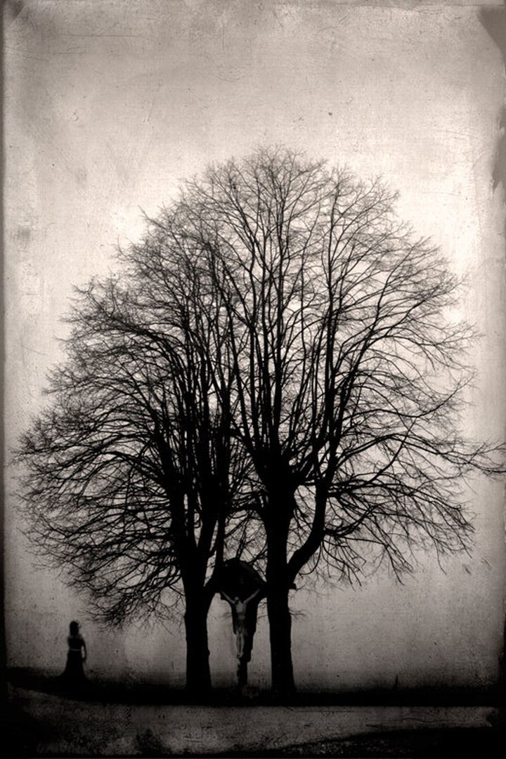 ..The Day After.. by Aleksander Šmid