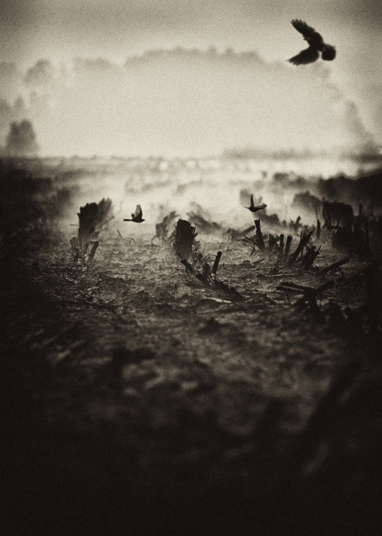 Hiding from the enemy.. by Aleksander Šmid