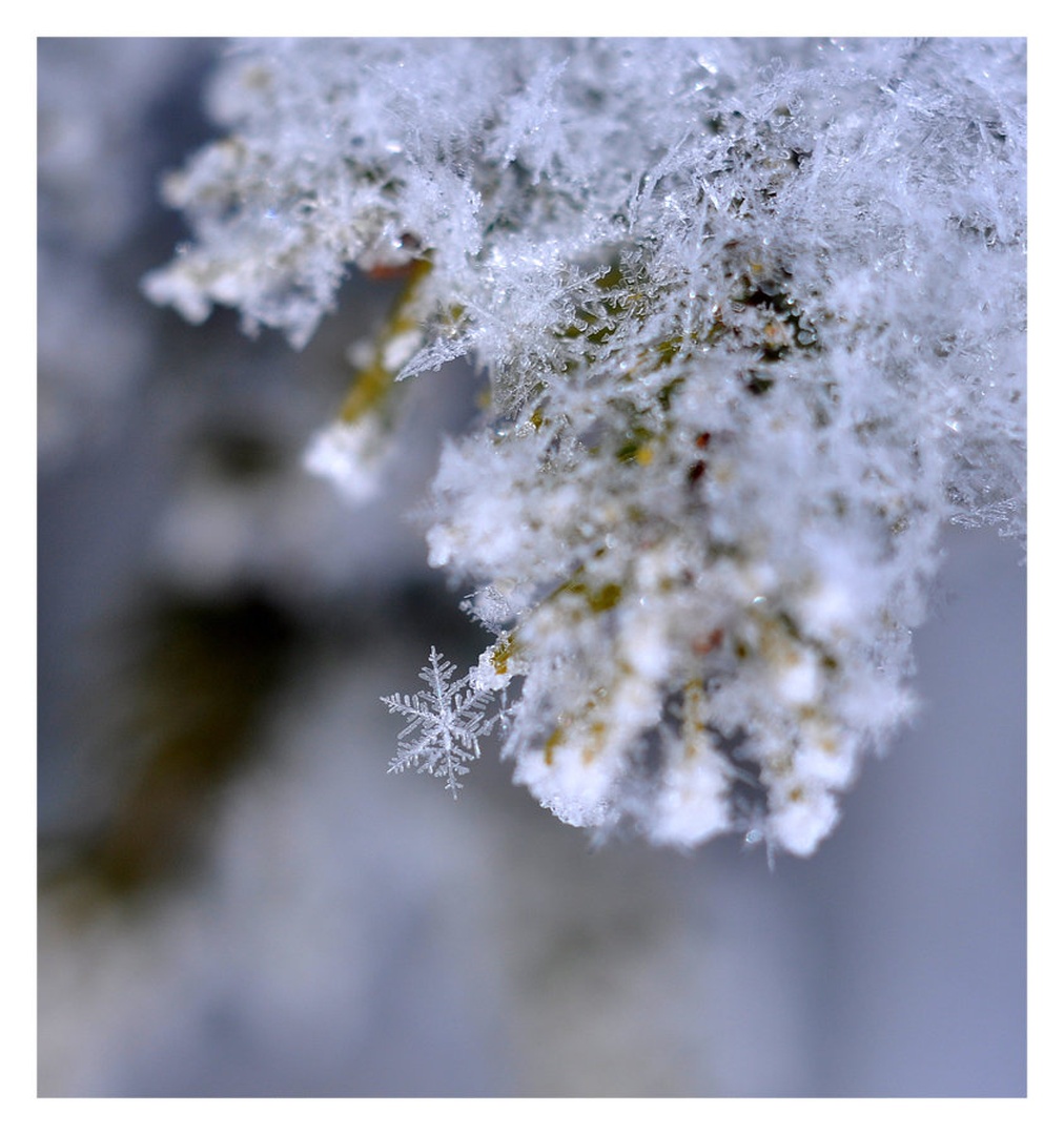 Popolna by Luka Pongrac
