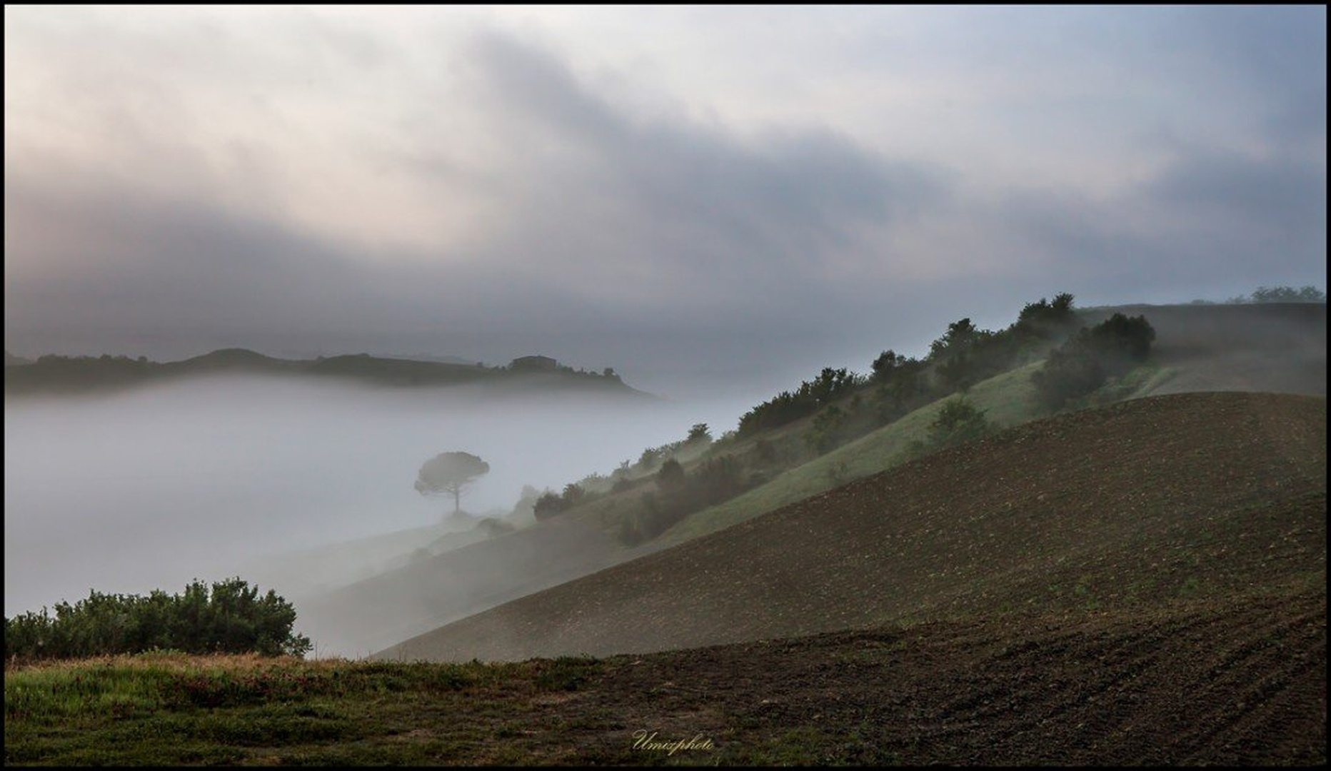 Jutro by umix