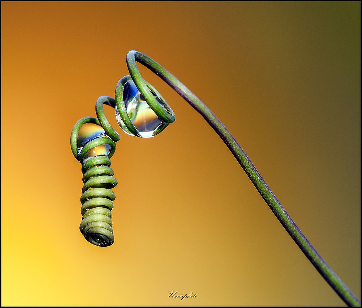 Drop II. by umix
