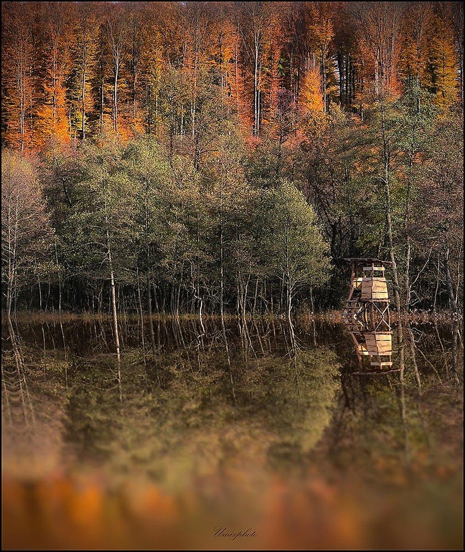 Jesenski utrinki VI. by umix