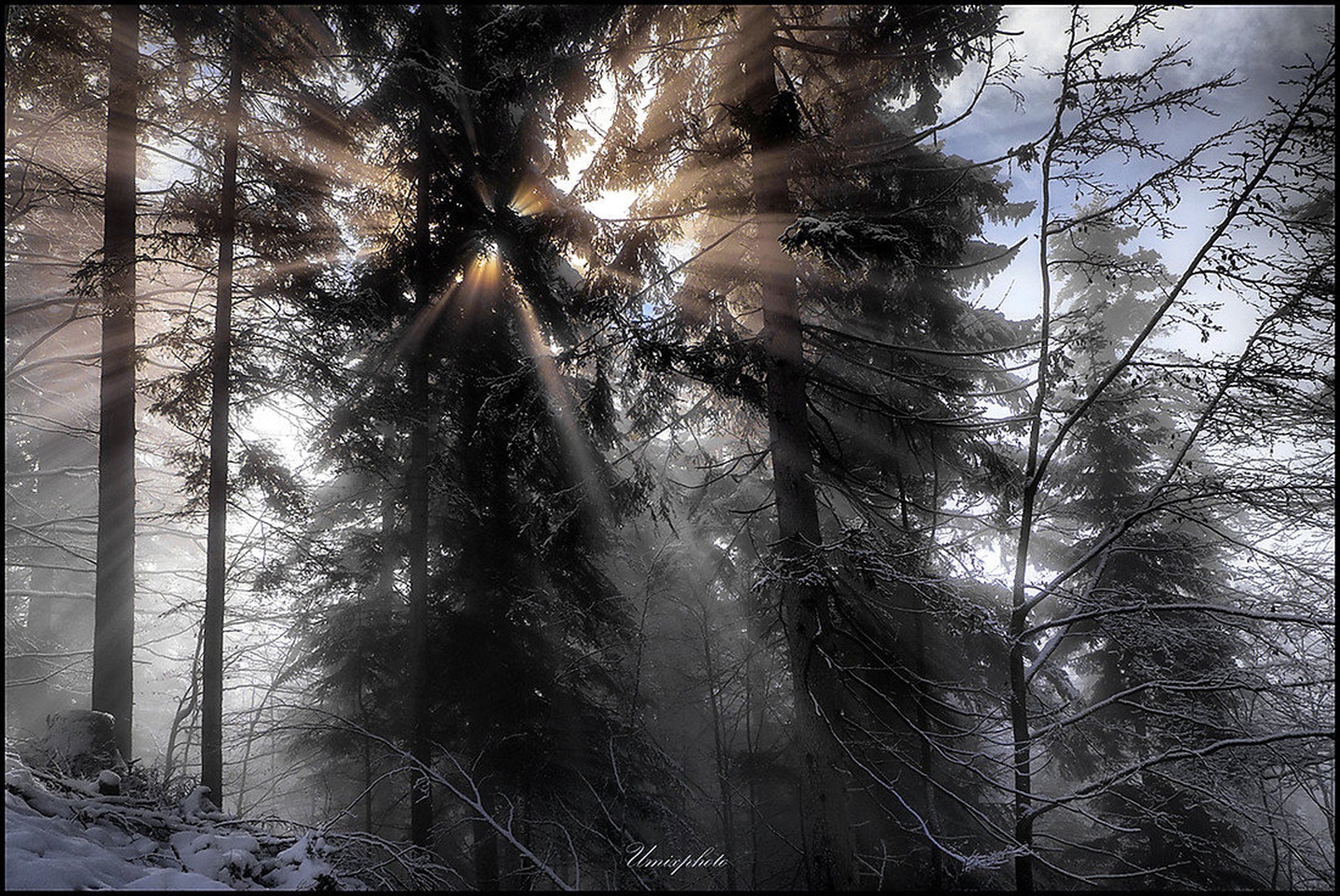 Zimsko jutro v gozdu III. by umix