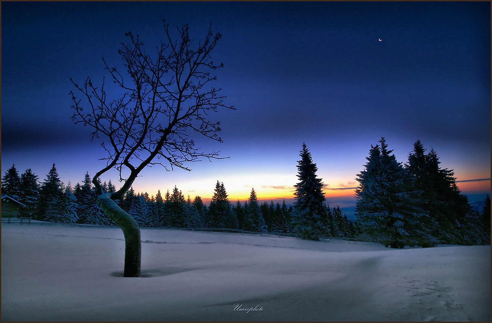 Hladno jutro by umix