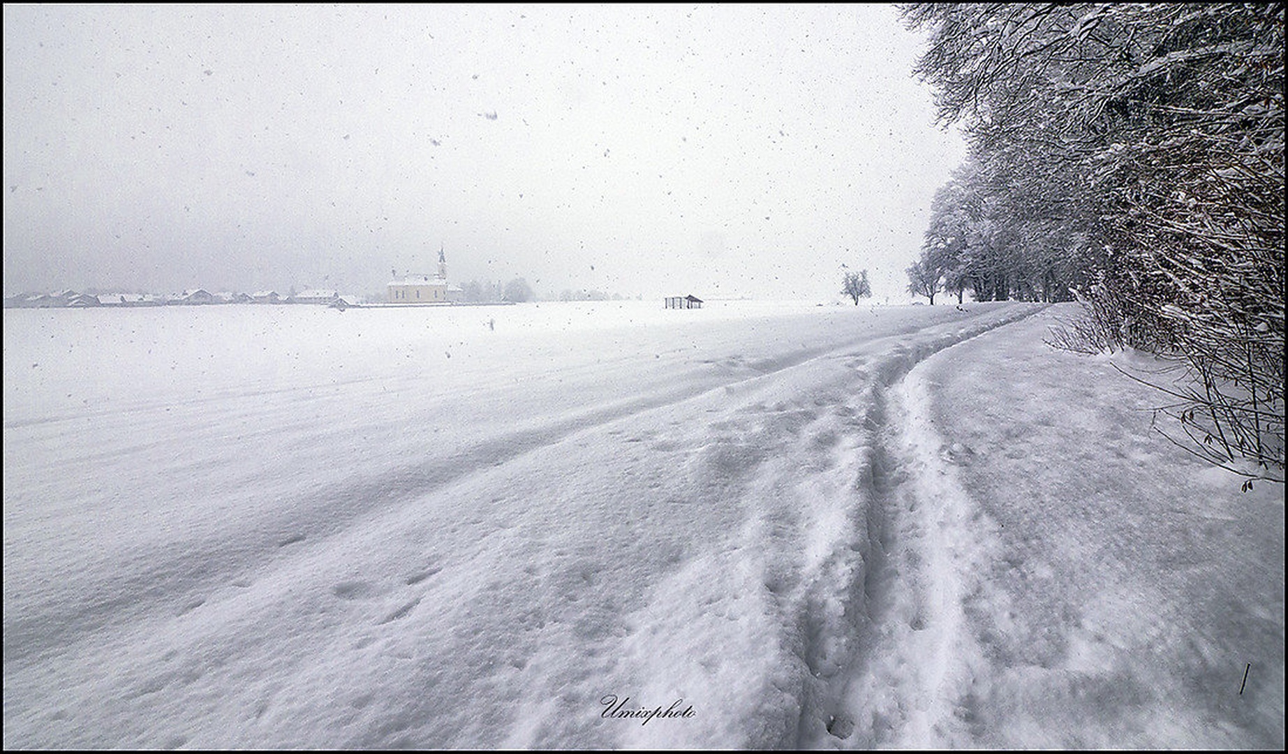 Zimsko dopoldne na Brdu by umix