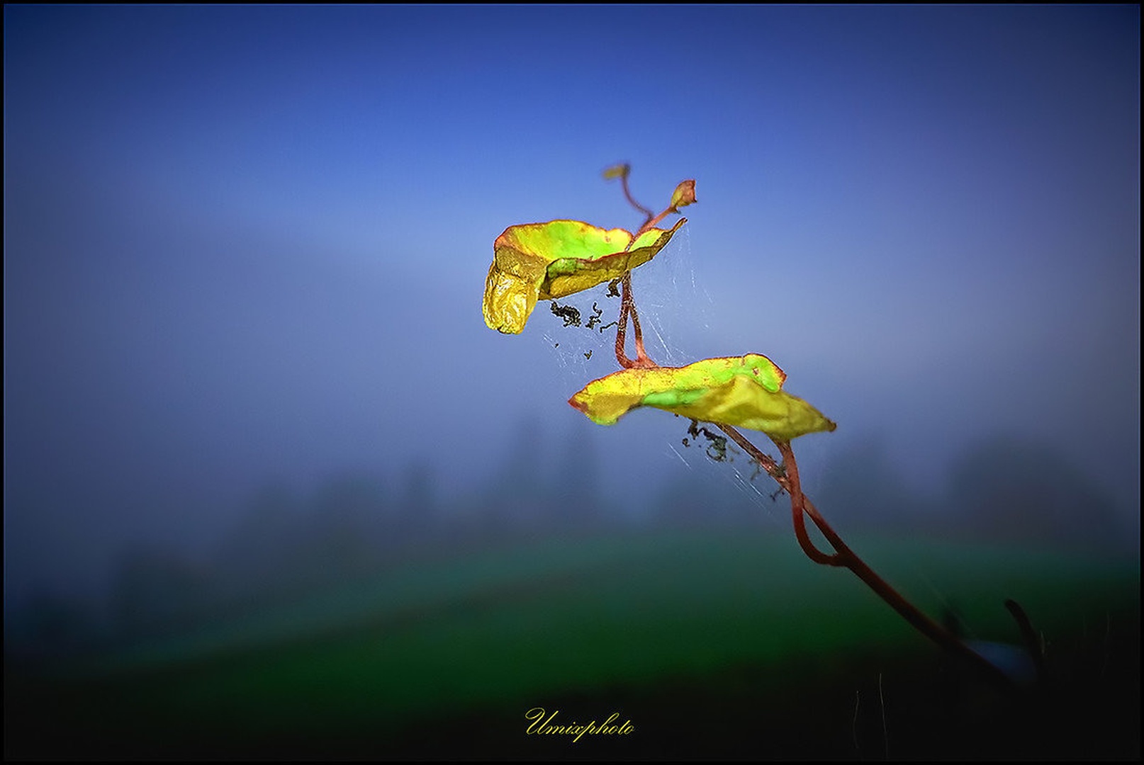 Okraski narave by umix